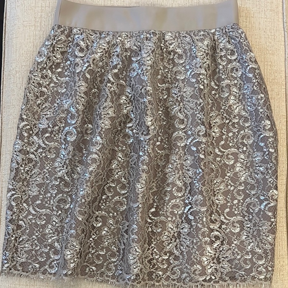 J. Crew Silver Pencil Skirt with Sequin Embellishments for Cocktail